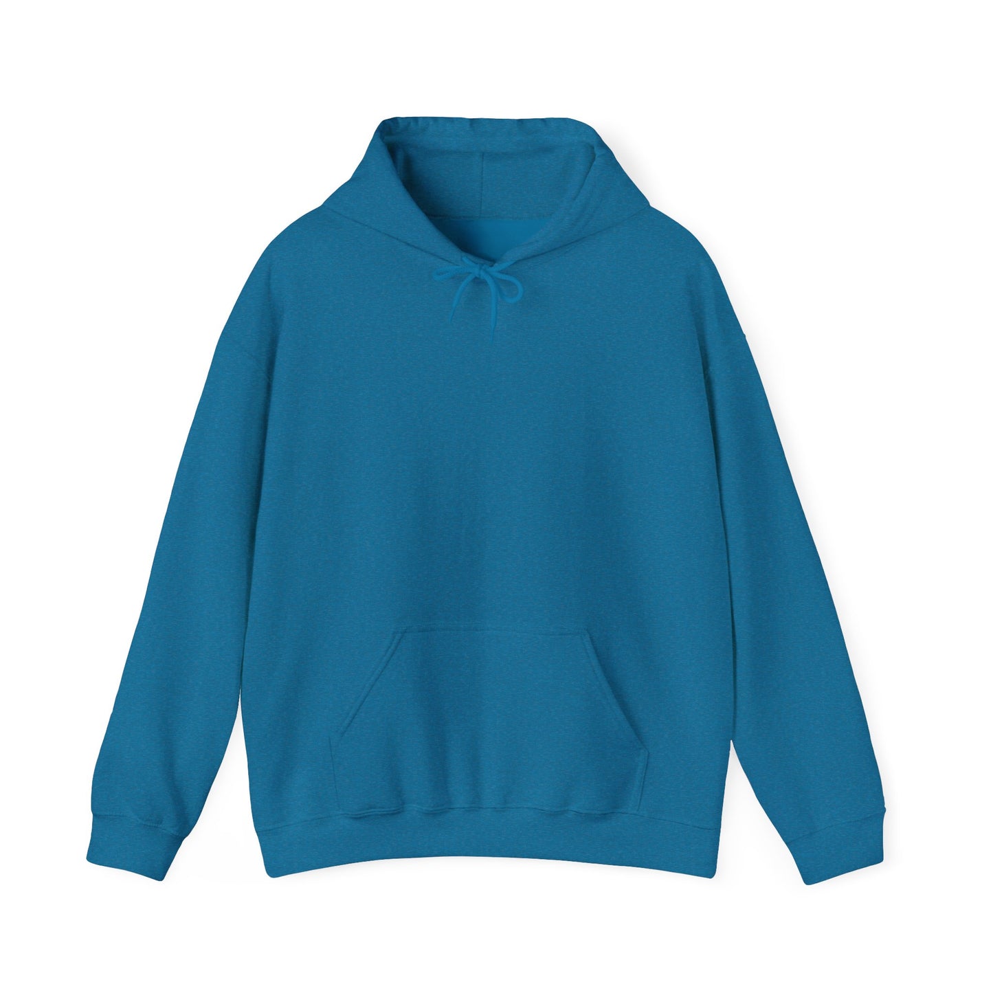 Saguaro Hooded Sweatshirt - Back Only