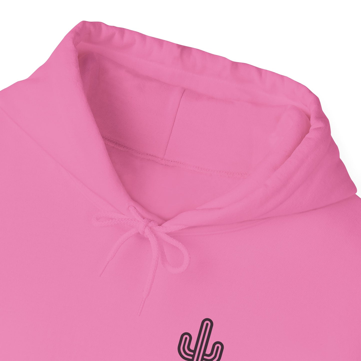 Saguaro Hooded Sweatshirt - Front & Back