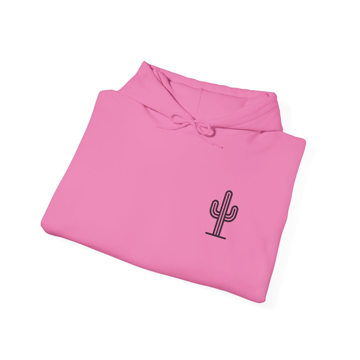 Saguaro Hooded Sweatshirt - Front & Back