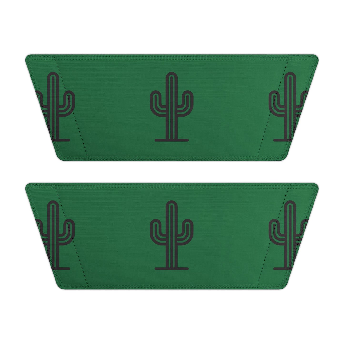 Saguaro Slides